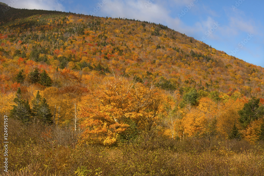 Fall foliage in Crawford Notch, New Hampshire.