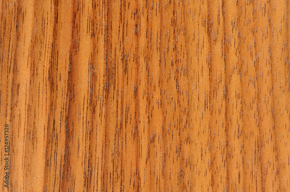 American Walnut Tree Texture American Walnut Tree Texture