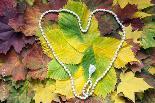 White mala rosary on the autumn leaves. Mantra. One hundred and eight beads shaped into a heart.  photo