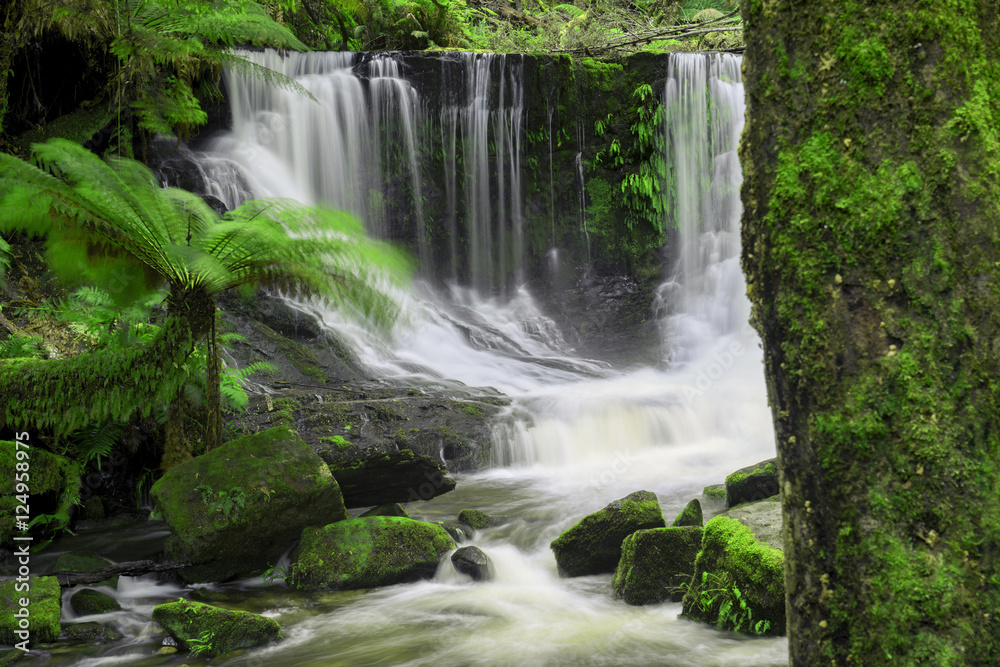 The beautiful Horseshoe Falls after heavy rain fall in Mount Field National Park, Tasmania, Australia.