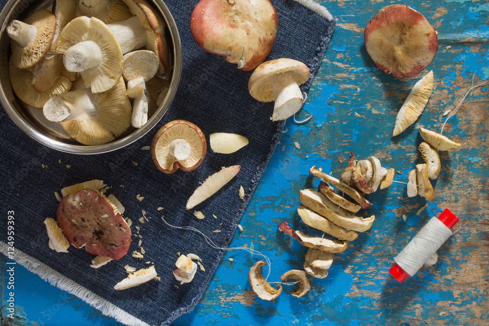 Mixed fresh porcini mushrooms. Shiitake, russules on blue vintag Mixed fresh porcini mushrooms. Shiitake, russules on blue vintag