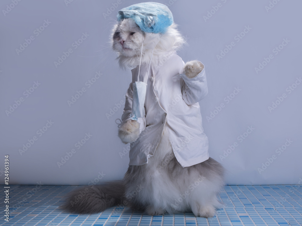cat suit surgeon preparing for surgery