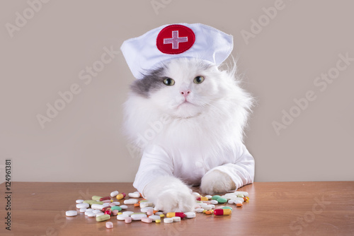 Cat in a suit of the doctor gives medicine