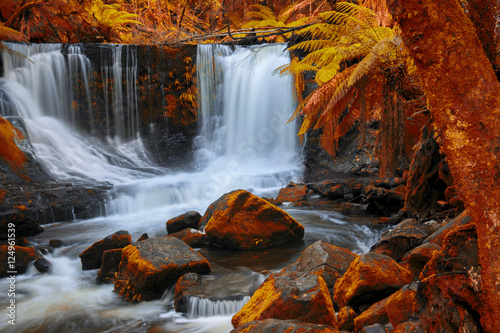 Fototapeta Naklejka Na Ścianę i Meble -  Beautiful Horseshoe Falls after heavy rain fall in Mount Field National Park, Tasmania, Australia. Abstract red hues added.