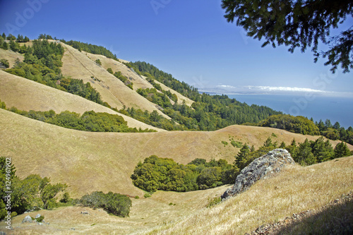 ripply hills ocean view