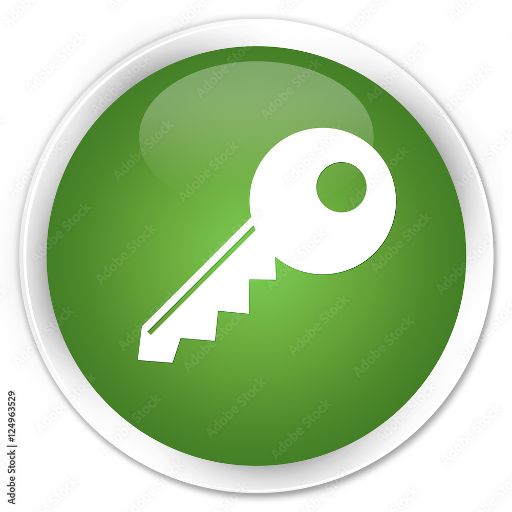 Key icon soft green glossy round button Key icon soft green glossy round button