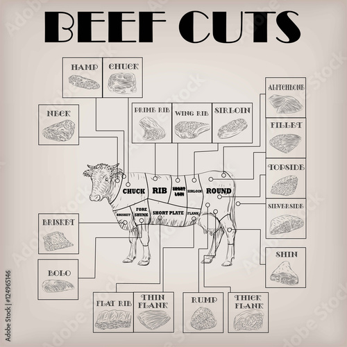 Beef cow bull whole carcass cuts cut parts infographics scheme sign signboard poster butchers guide: neck chunk, brisket fillet rump. Vector beautiful horizontal closeup black outline beige background