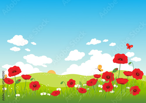 Fotografie, Obraz Springtime landscape with red poppies and butterflies
