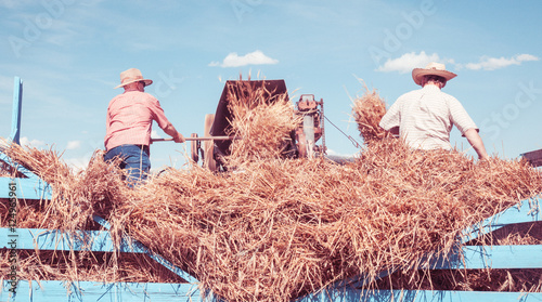 Quadro em tela Farmers working