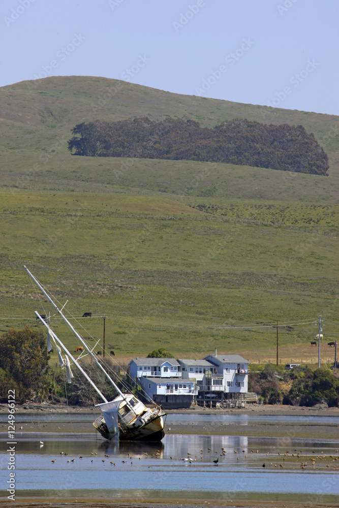 Fototapeta premium shipwreck in bodega bay