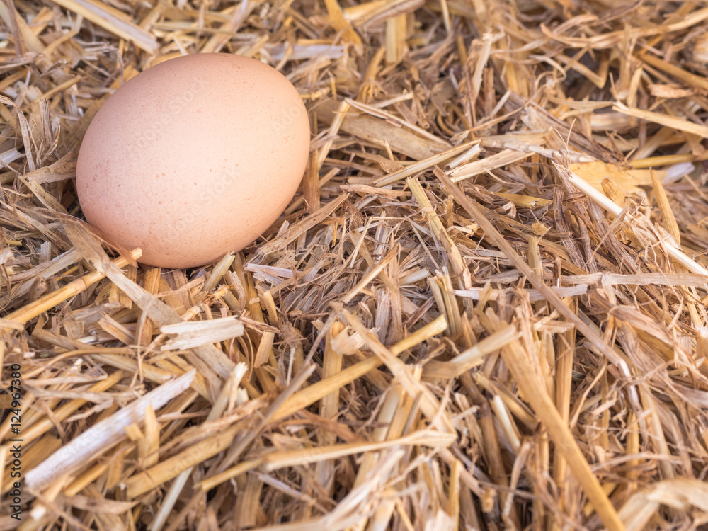 Close-up brown chicken eggs on a bed of straw