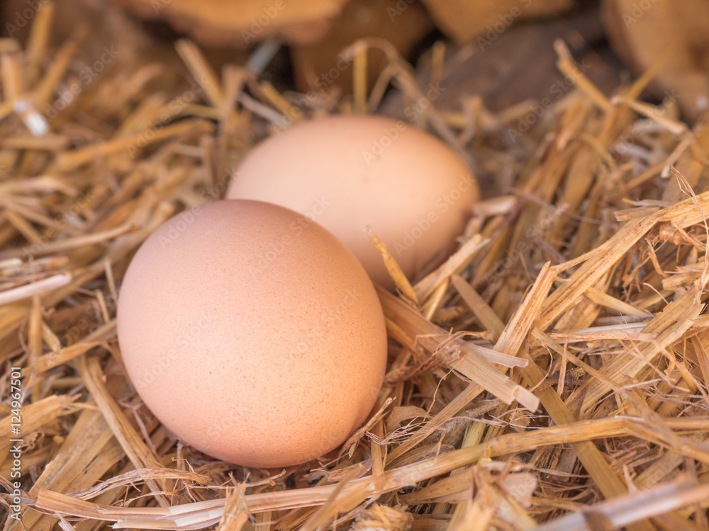 Close-up brown chicken eggs on a bed of straw Close-up brown chicken eggs on a bed of straw