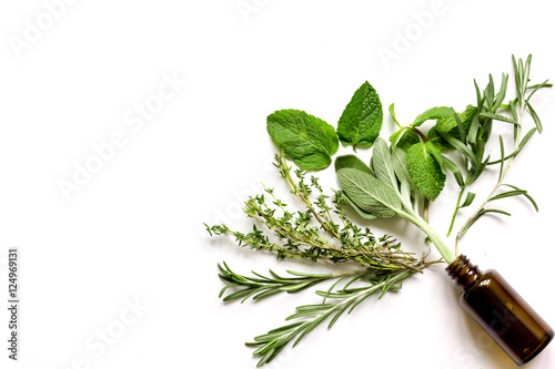mint, sage, rosemary, thyme - aromatherapy white background