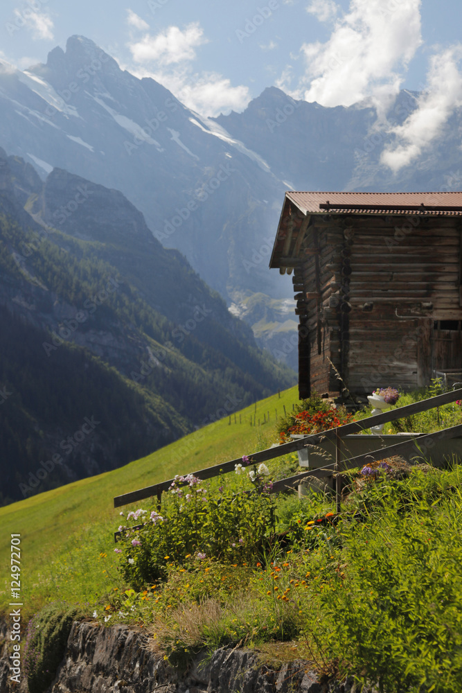 barn n mtn