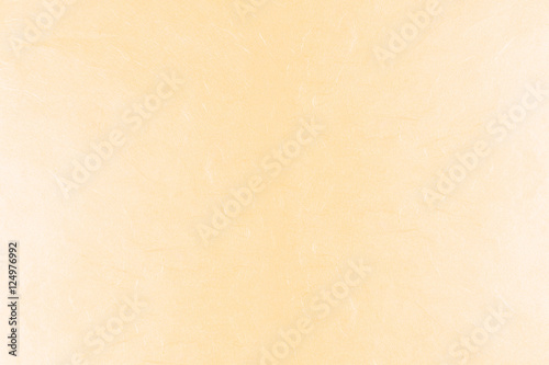 和紙素材-ベージュ