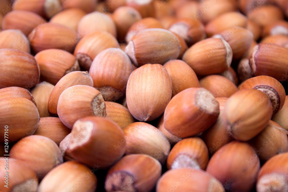 Many peeled hazel nuts - background of nature Many peeled hazel nuts - background of nature