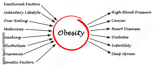 Obesity - Causes and Effects