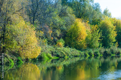 Fall River, trees dressed in yellow leaves leaned over the water