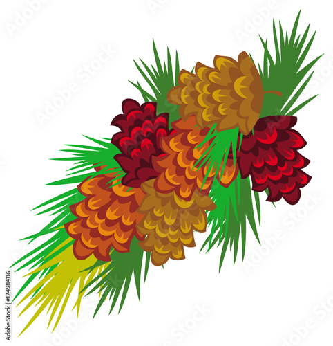 Pine branch with decorative cones. Vector clip art. 