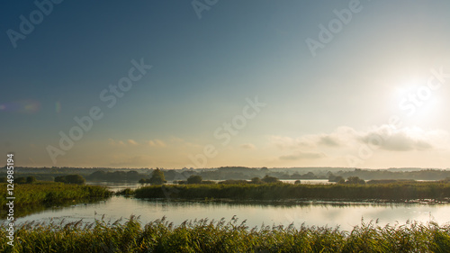 Shapwick Heath National Nature Reserve panorama. Reeds and lake at Avalon Marshes wetland habitat in the afternoon sun, in Somerset, England UK