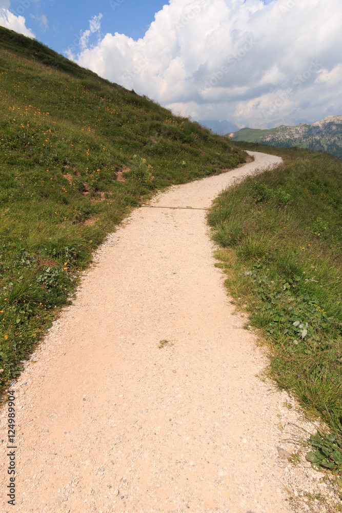 sentiero verso la baita Segantini (Dolomiti)