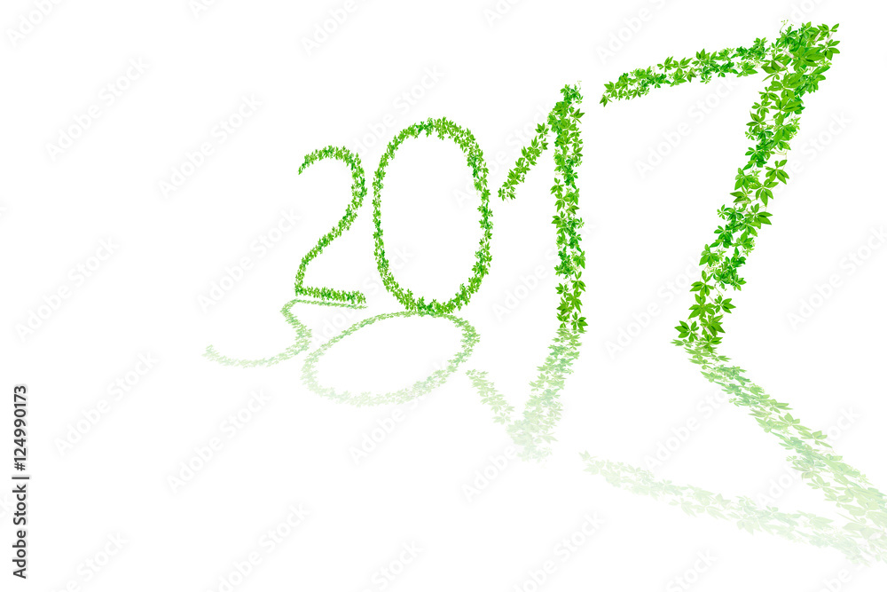 2017 year made from beautiful fresh green leaves isolate on white 2017 year made from beautiful fresh green leaves isolate on white