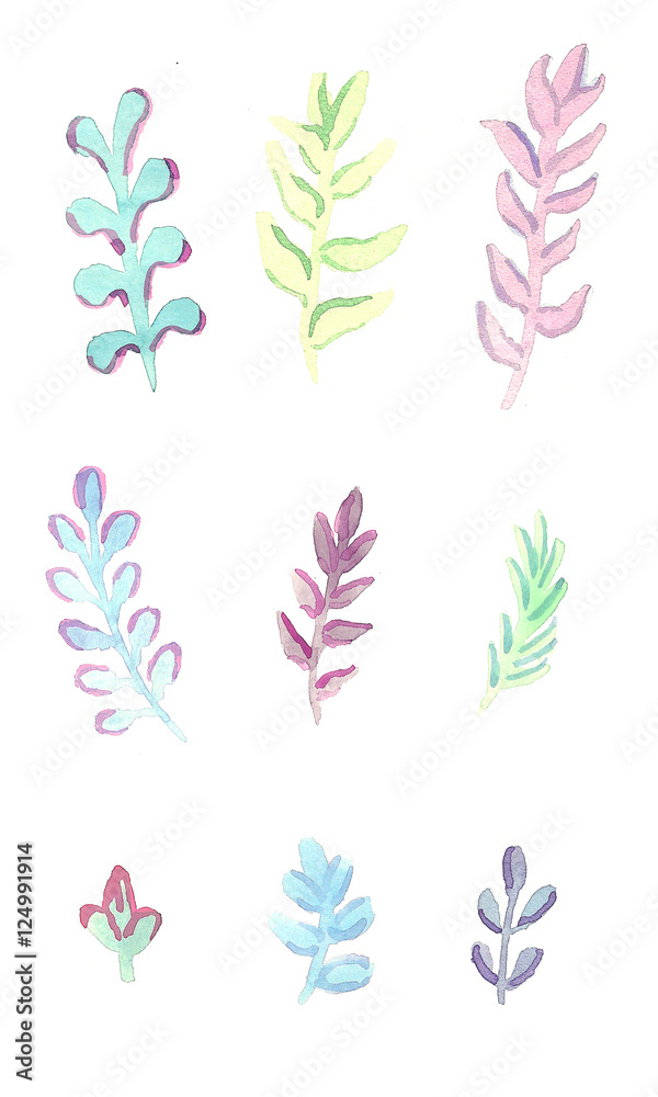 Watercolor branches with leaves set on white background