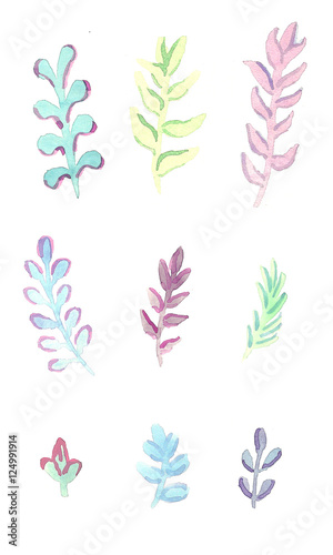 Watercolor branches with leaves set on white background