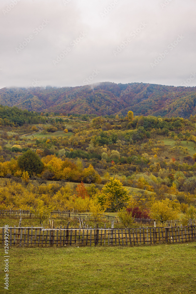 beautiful landscape with trees in autumn colors