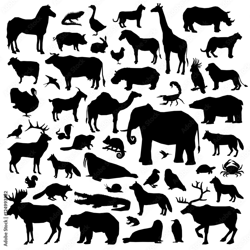 Animals Suilhouette Big Set Animals Suilhouette Big Set