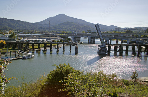 Plakat greenbrae bridge