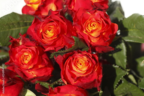 Rote Rosen auf einem Blumenmarkt