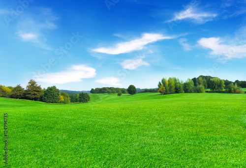 Summer scene with sun, green meadow andd trees. Forest and green field with blue sky. Nature background with copy space. 