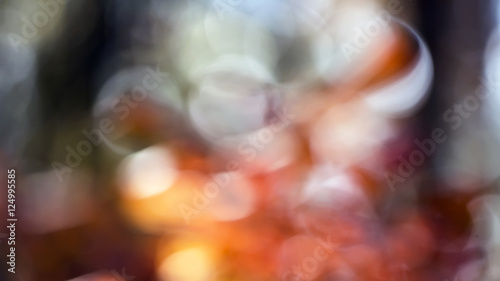 autumn leaves in the forest smoke tree weird mystical blur background