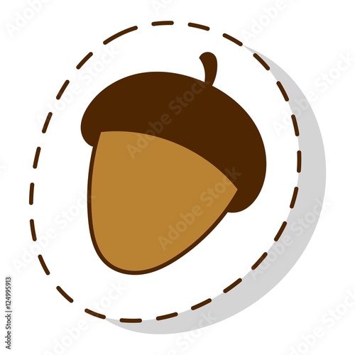 Dried acorns flat vector illustration.