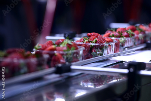 Strawberries on conveyor belt on packing line