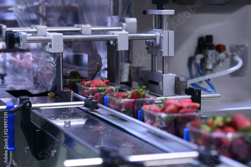 Strawberries  on conveyor belt on packing line