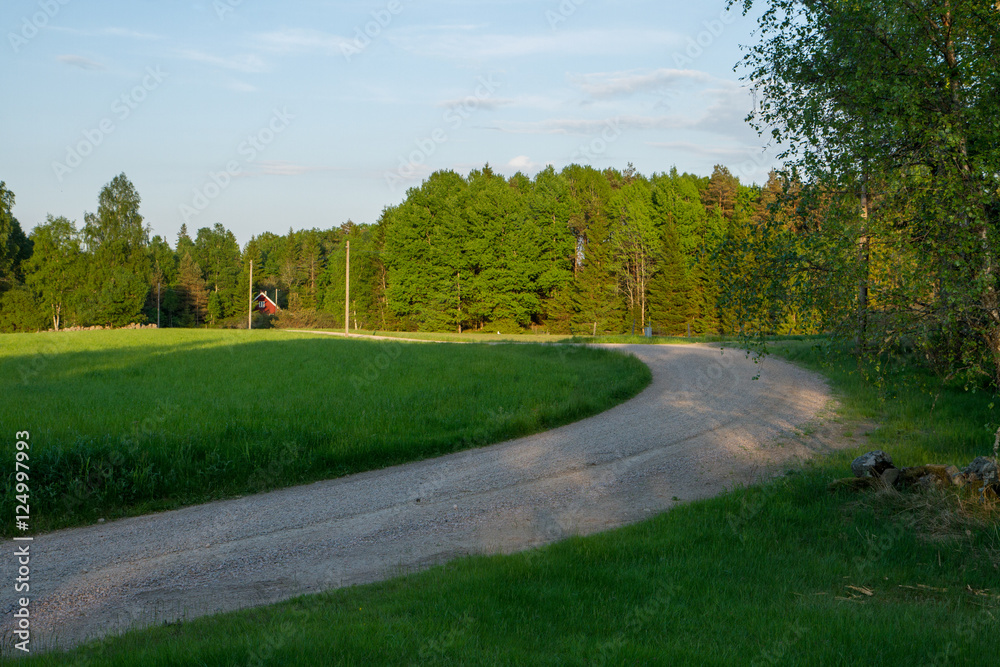 Grusväg som går genom landsbygd med åker och skog