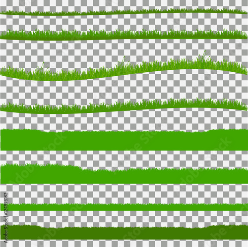 grass, shrubs. A set of various types of grass.