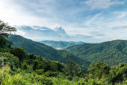 tropical rainforest,Khao Yai National Park Thailand.