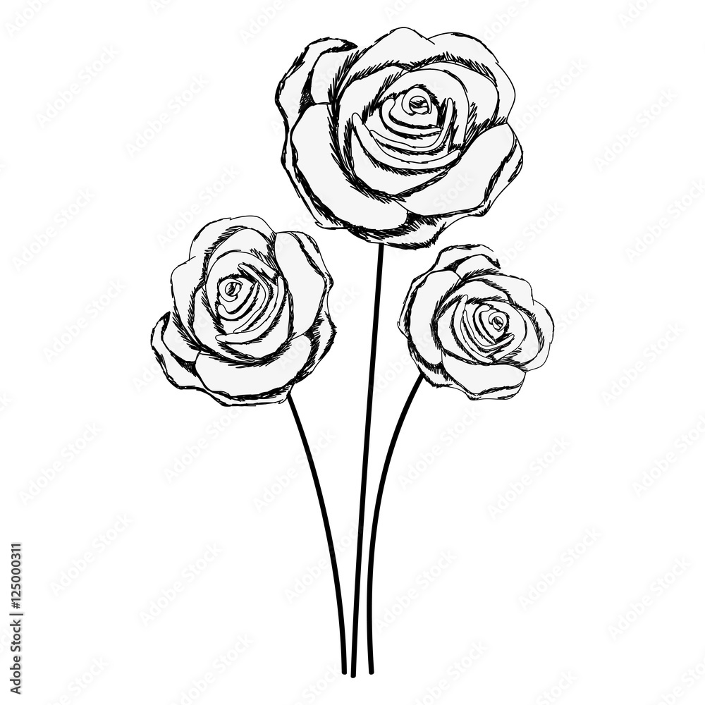 Red Rose Drawing - The Graphics Fairy