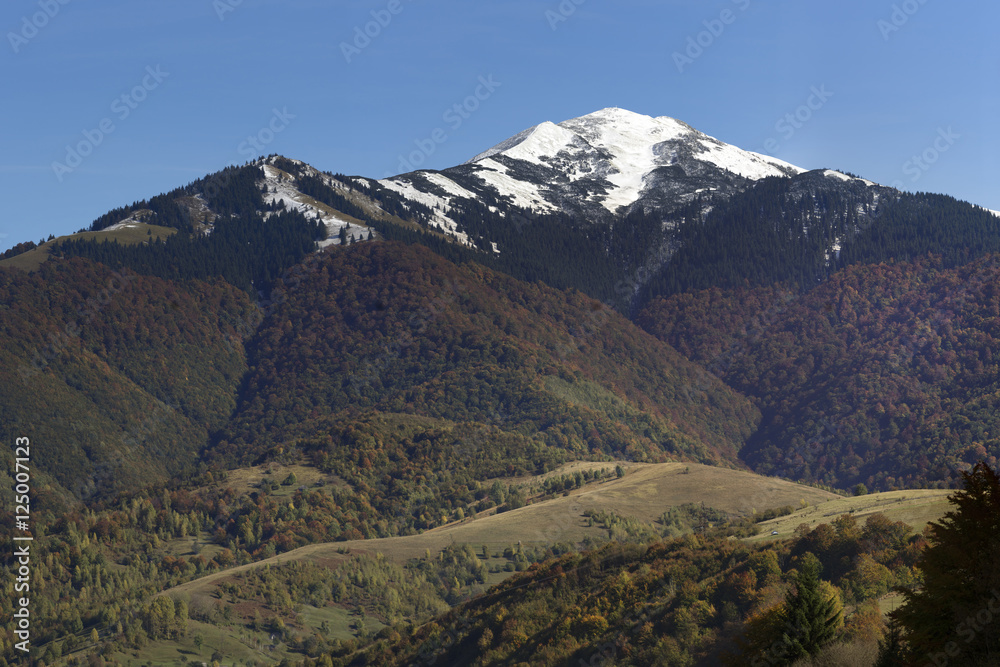Mountain Strimba, Carpathians