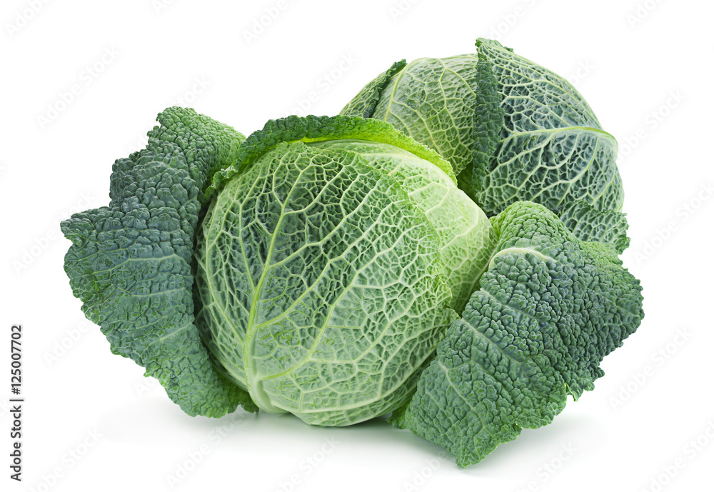 Savoy cabbage on white