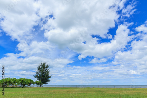 Green field against the sea and sky The