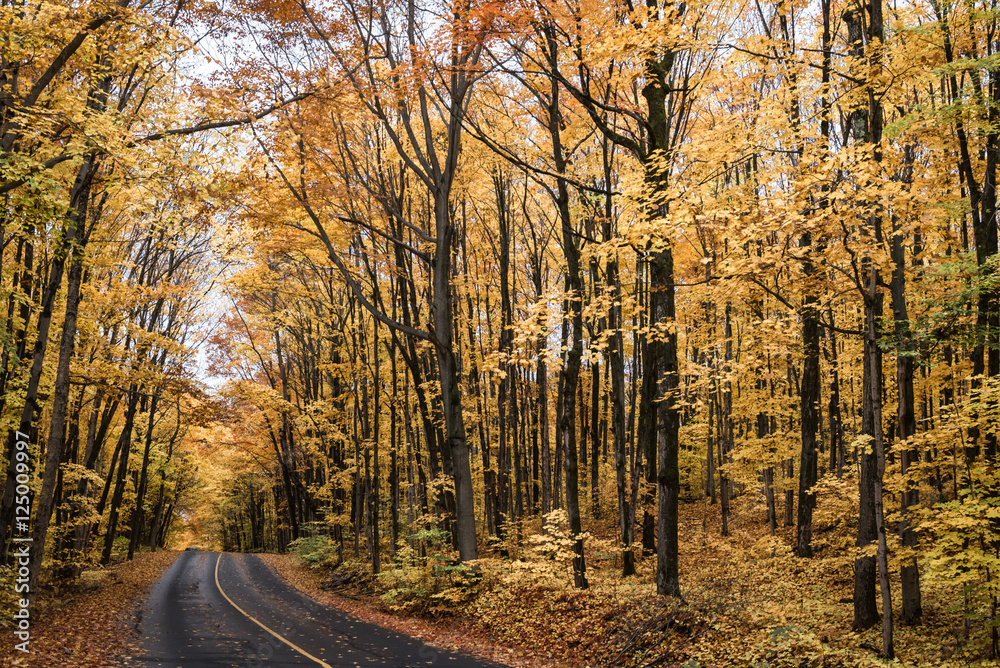 Autumnal Road Autumnal Road