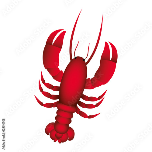 single lobster icon image vector illustration design 