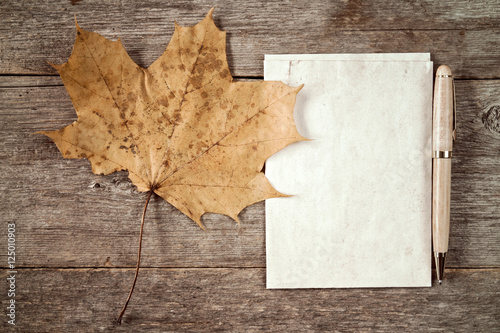 Rustic maple leaf and blank paper