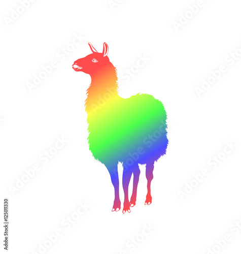 rainbow alpaca