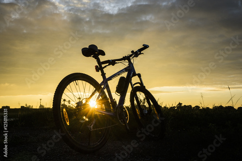 Fototapeta Naklejka Na Ścianę i Meble -  Mountain bike