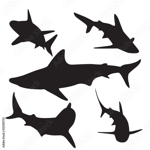 Shark vector silhouettes set.